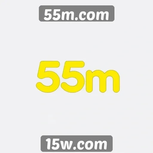 Visão geral das principais características do 55m.com